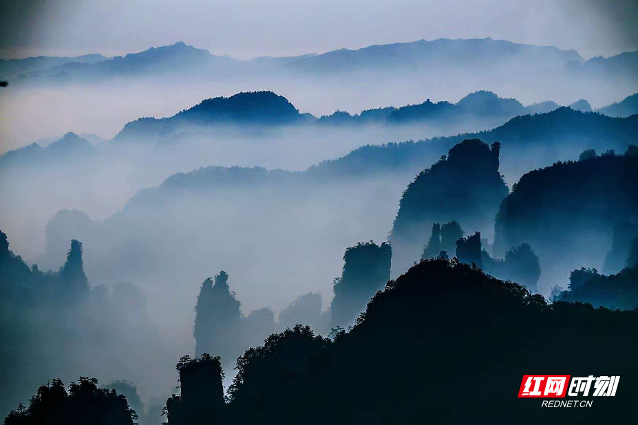 1774405626890456.png e23cb9c0a80a7bc185b16cf7ab0915f8.png