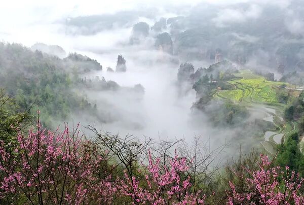 1775114012131565.jpg 9df1994c92e3b104dc16ba48e9f760d8.jpg