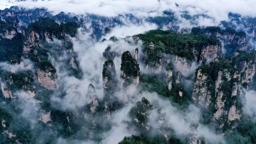 1775114592814161.jpg 4e299e25f4fbf639cef28a651e4b3bb6.jpg