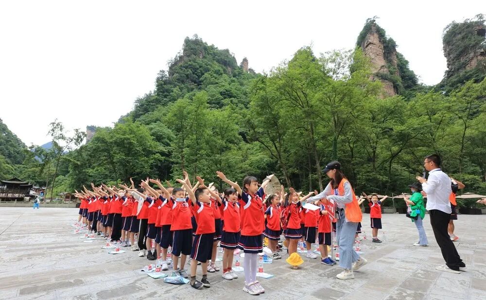 1775114626146006.jpg f00df9f551dd8e22bfe8e2fac79181e3.jpg