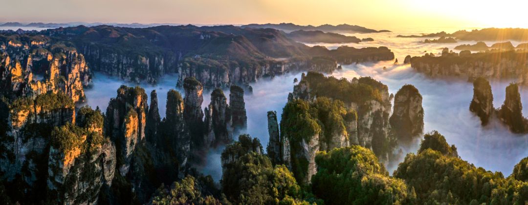 1776044390116594.png a461f159f8e7c2e5fb77e252d62db9d9.png