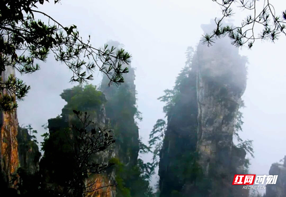 1777180237323900.png 0178b35f94bcc9c34e6189b0ef2aac6d.png