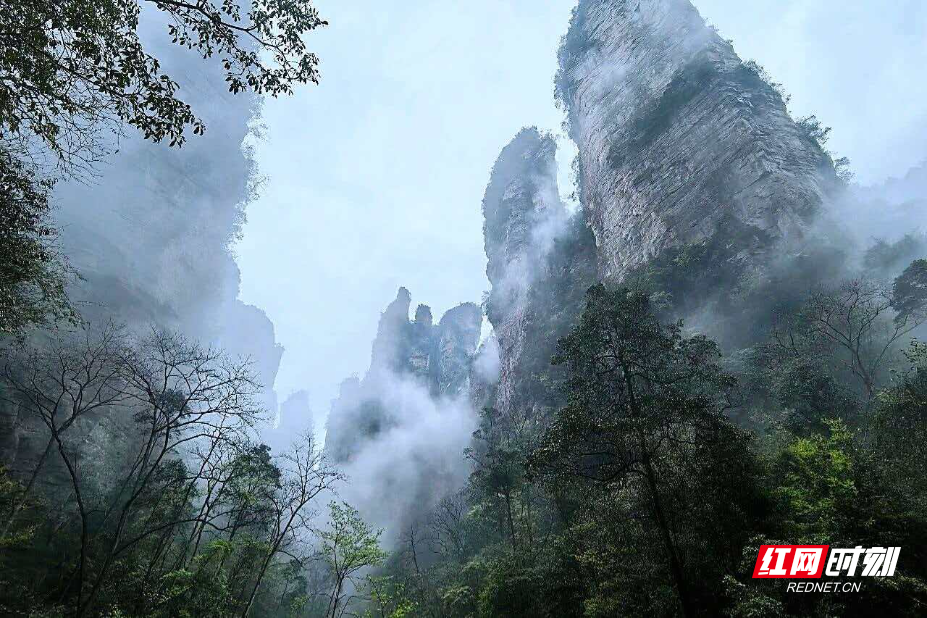 1777180390494693.png ec9ce063850dac035c754658b7f90b6f.png