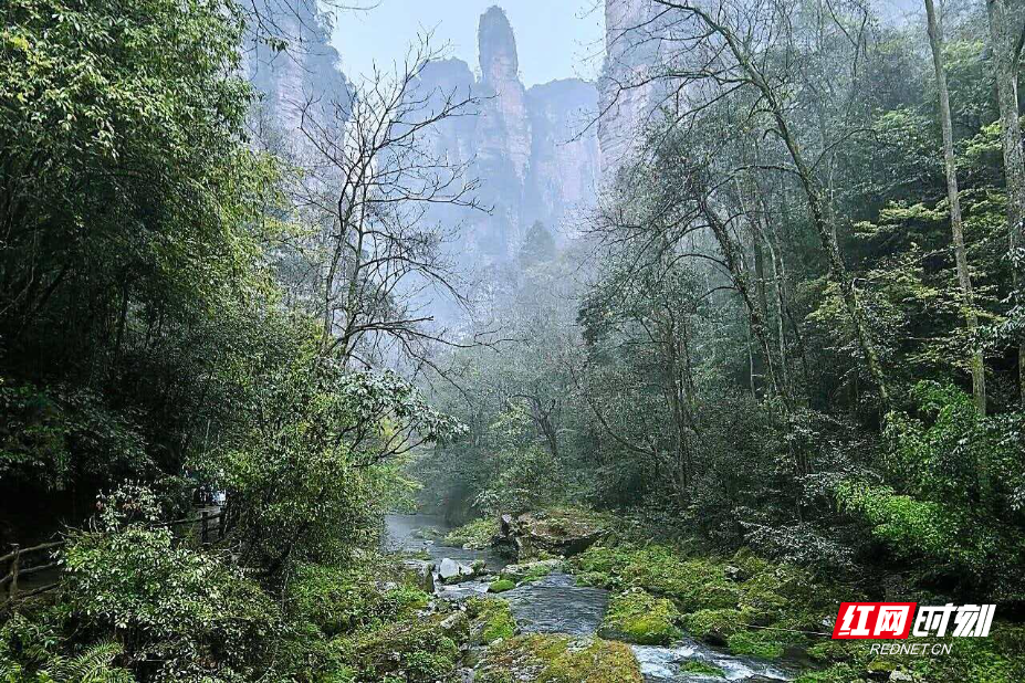 1777180411133871.png 2fafaae6dada542c1e106065d7267b17.png