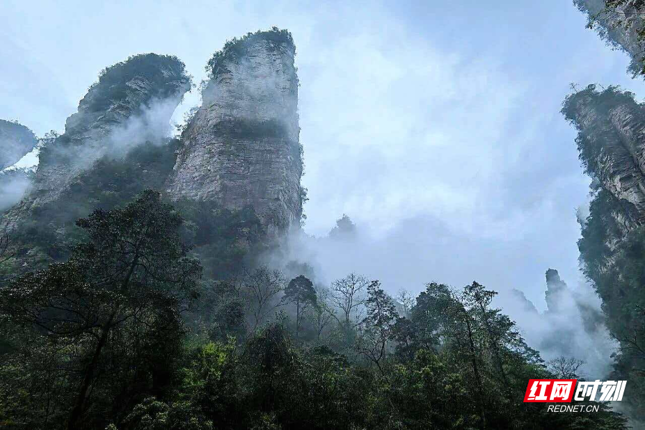 1777180422917437.png 75f6835c8e6c4f34776c192a02d7b533.png