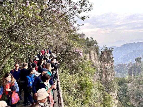 1777180634122378.jpg 9feeff893e477387b631ba56e71162e6.jpg