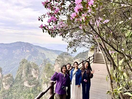 1777180663378765.jpg d1d0e0470e68215dc08e4d50df97d046.jpg