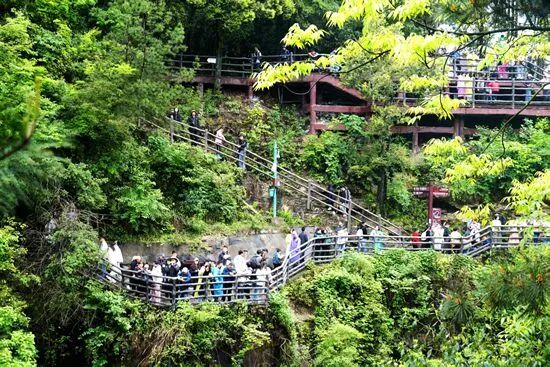 1777180672553991.jpg 5e7094cdbc95be1e1b5a621612bf798e.jpg