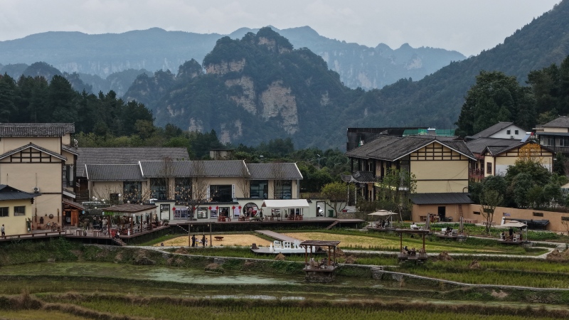 龙尾巴社区